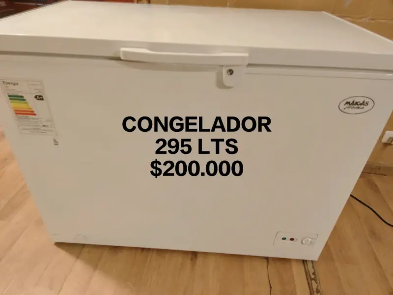Congelador horizontal 295 litros Maigas Home - 1