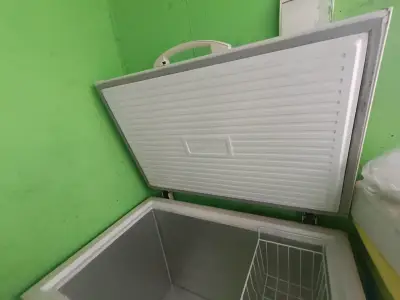 Congelador horizontal Fensa Z300 de 296L - miniatura 1