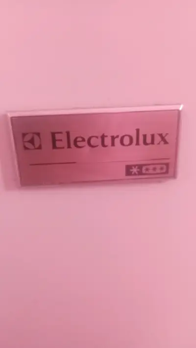 Congelador horizontal Electrolux modelo EFC14A3MNW - miniatura 4