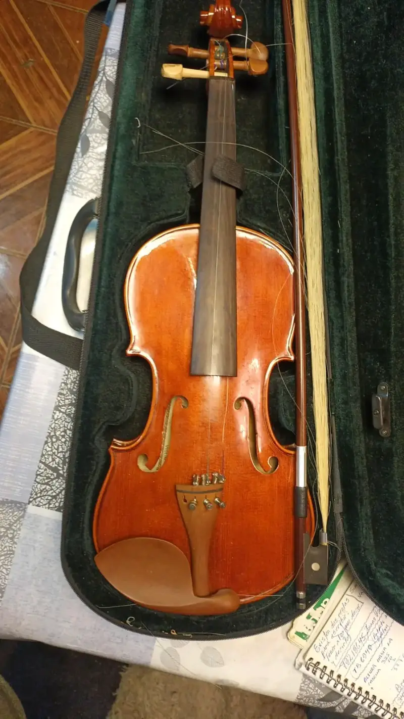 Violín acústico con estuche y arco - 1