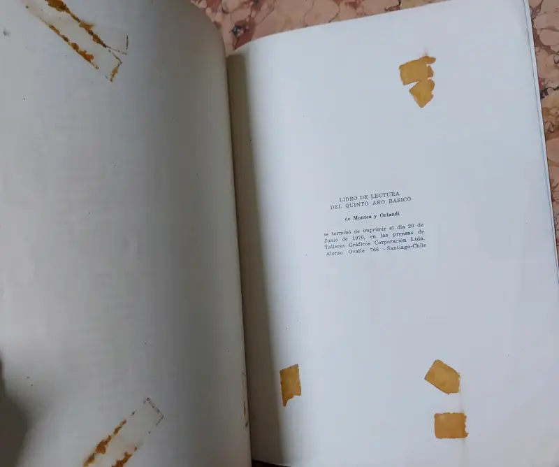 Libro de Lectura 5° Año Básico Montes y Orlandi - 4