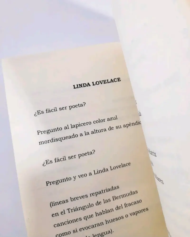 Yeguas del Kilimanjaro - Rolando Martínez. - 5