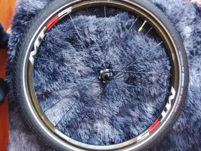 Rueda Shimano MT55 29 pulgadas para bicicleta - miniatura 2