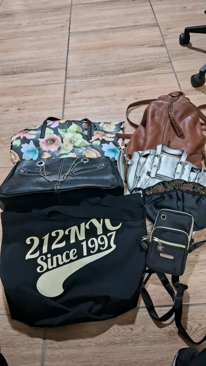 Set de bolsos y carteras variados - 1