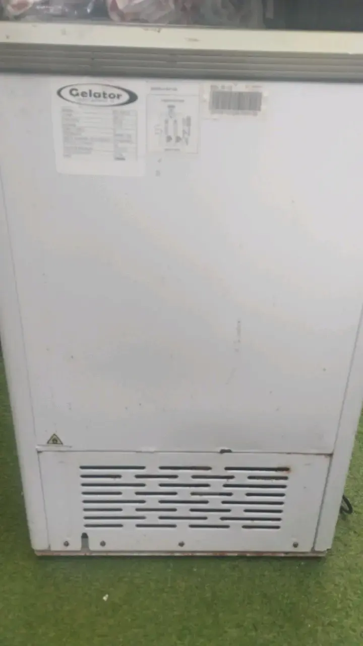 Congelador vertical Gelator en buen estado