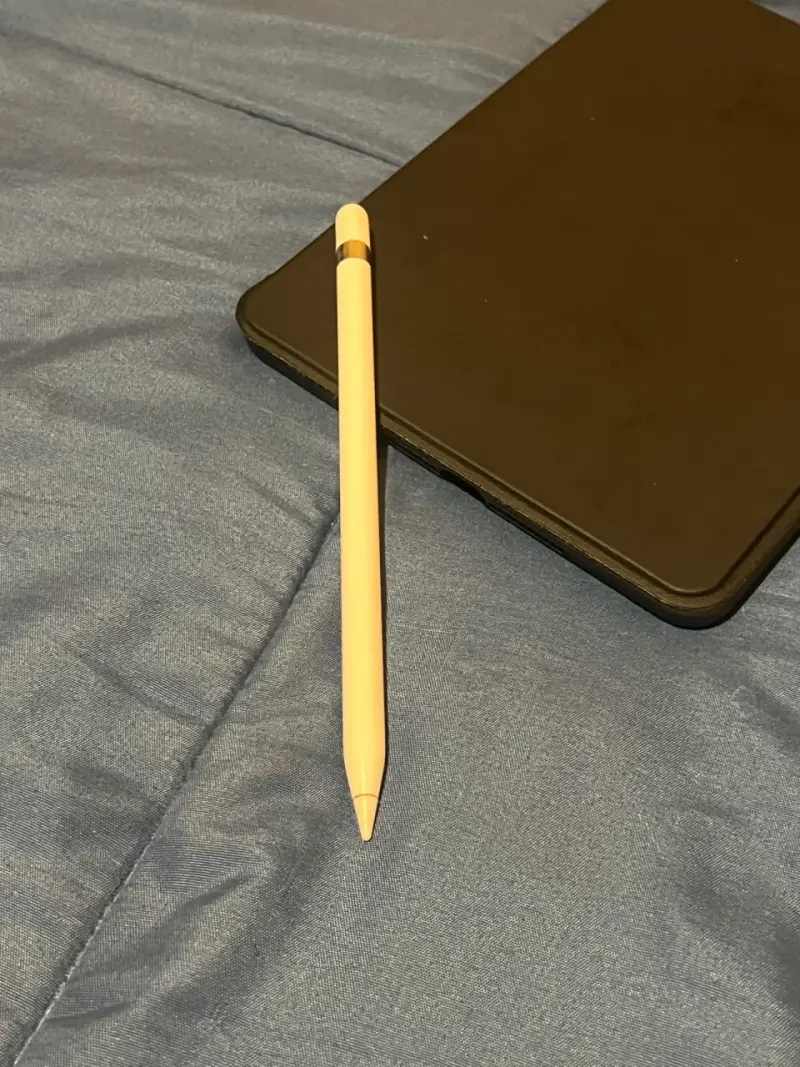 iPad Mini 5 256gb con Apple Pencil y Funda - 6