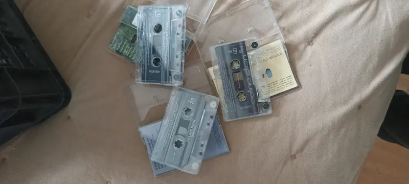 Colección de cassettes de Céline Dion - 2