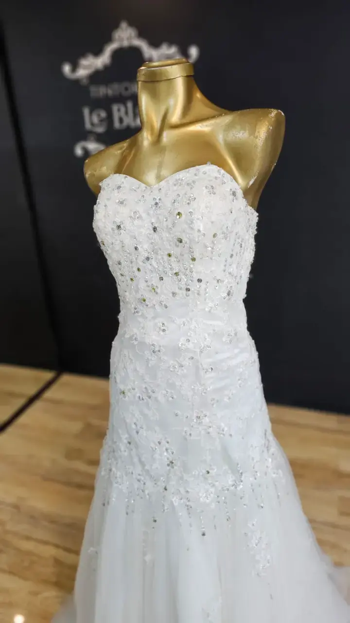 Vestido de novia - 1