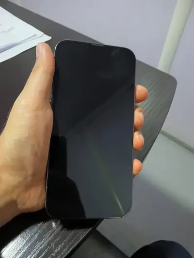 iPhone 13 Pro Max 256GB en buen estado - miniatura 1