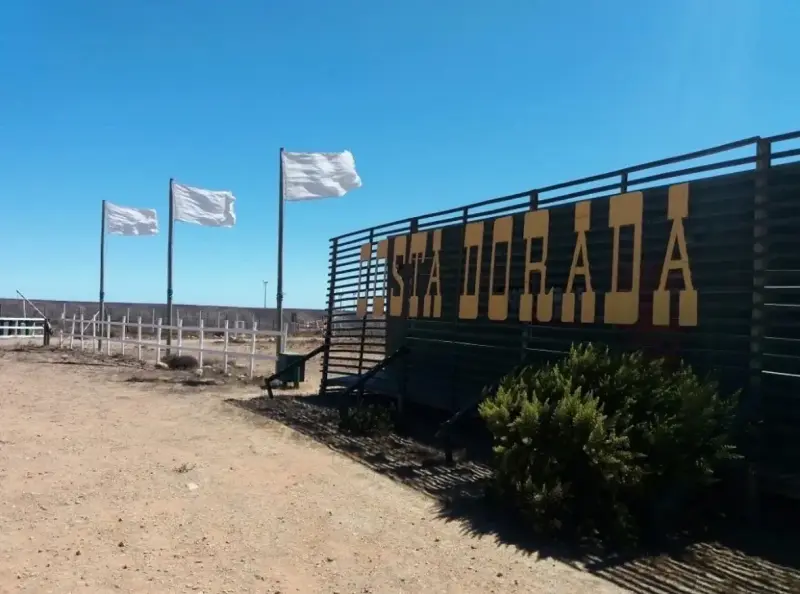 Parcela de 5.000 m² con Rol Propio - 1