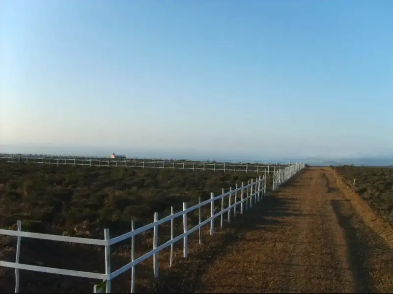 Parcela de 5.000 m² con Rol Propio - 5
