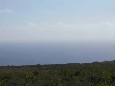Parcela de 5.000 m² con Rol Propio - miniatura 6