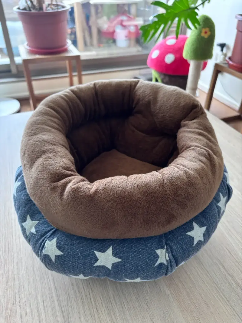 Cama para mascotas pequeña con diseño de estrellas