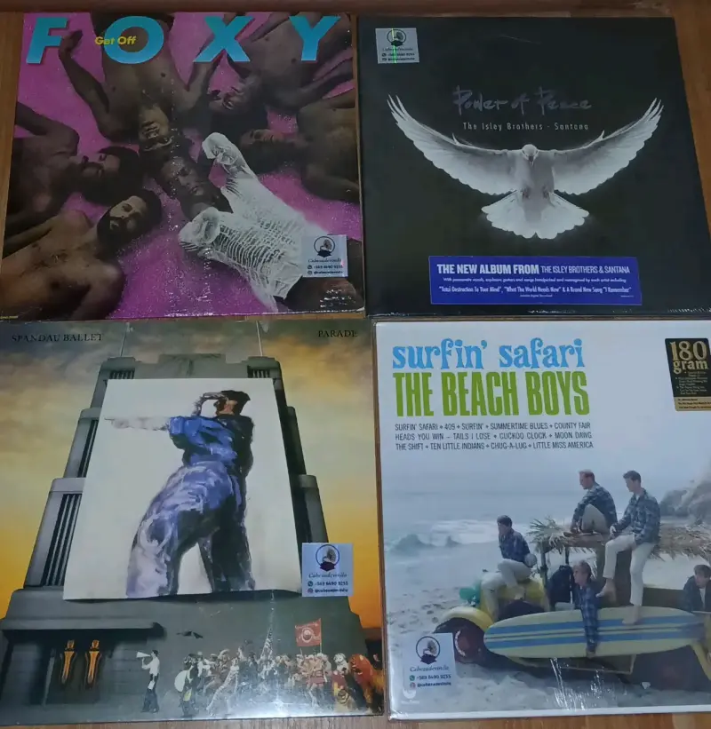 Colección de Vinilos de Música Variada - 4