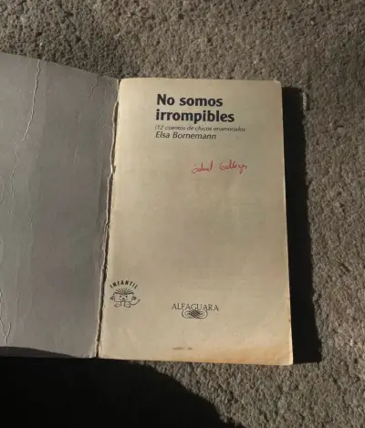 Libro 'No Somos Irrompibles' de Elsa Bornemann - miniatura 3