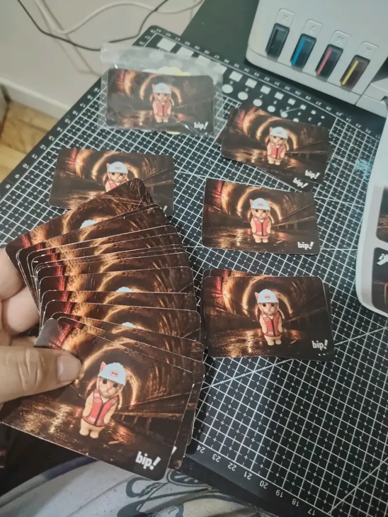 Sticker ideal para tarjeta Bip - 2