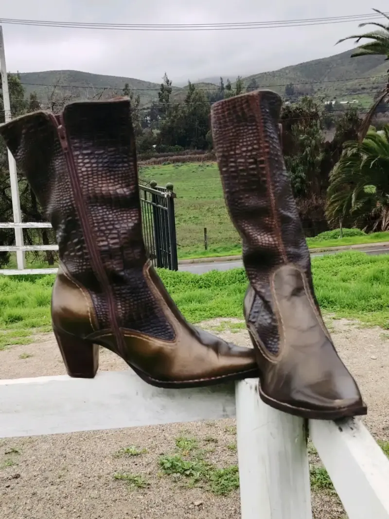 Botas Vaqueras de cuero marrón metalizado con tacó - 5