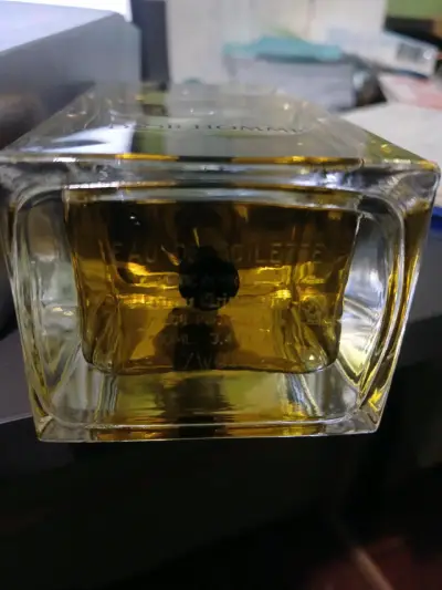 Perfume Dior Homme Eau de Toilette 100ml - miniatura 3