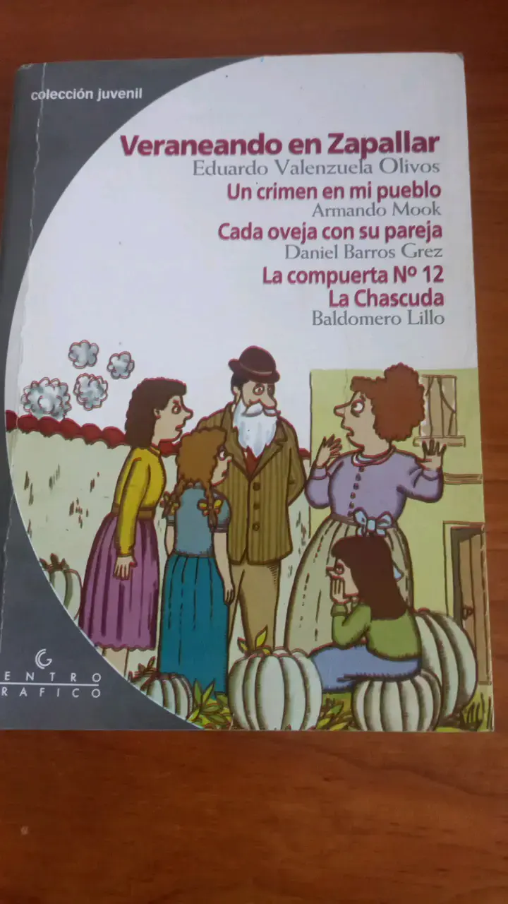 Libro Veraneando en Zapallar - Colección Juvenil