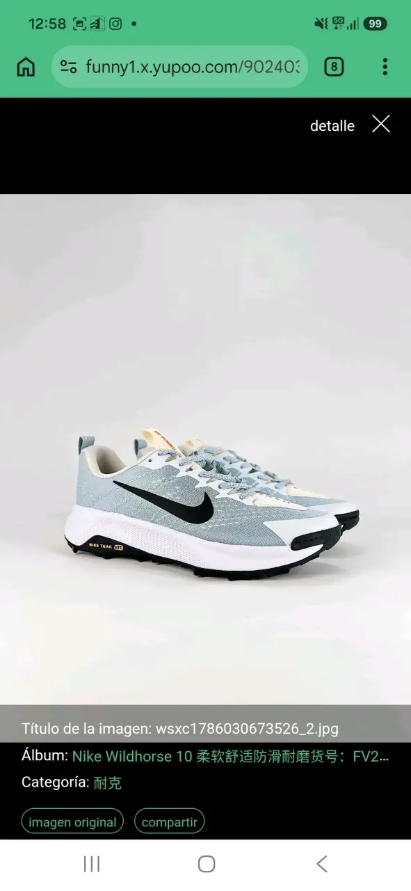 Zapatillas Nike Wildhorse 10 para trail running