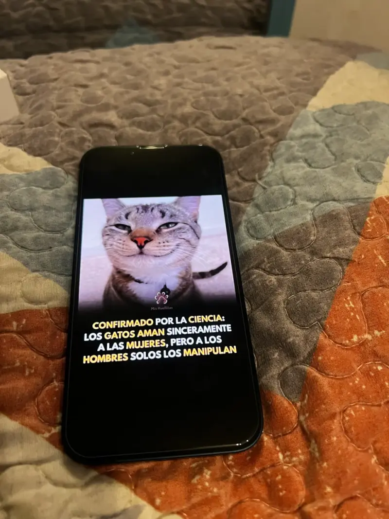 iPhone 13 negro en buen estado con 87% de batería - 2