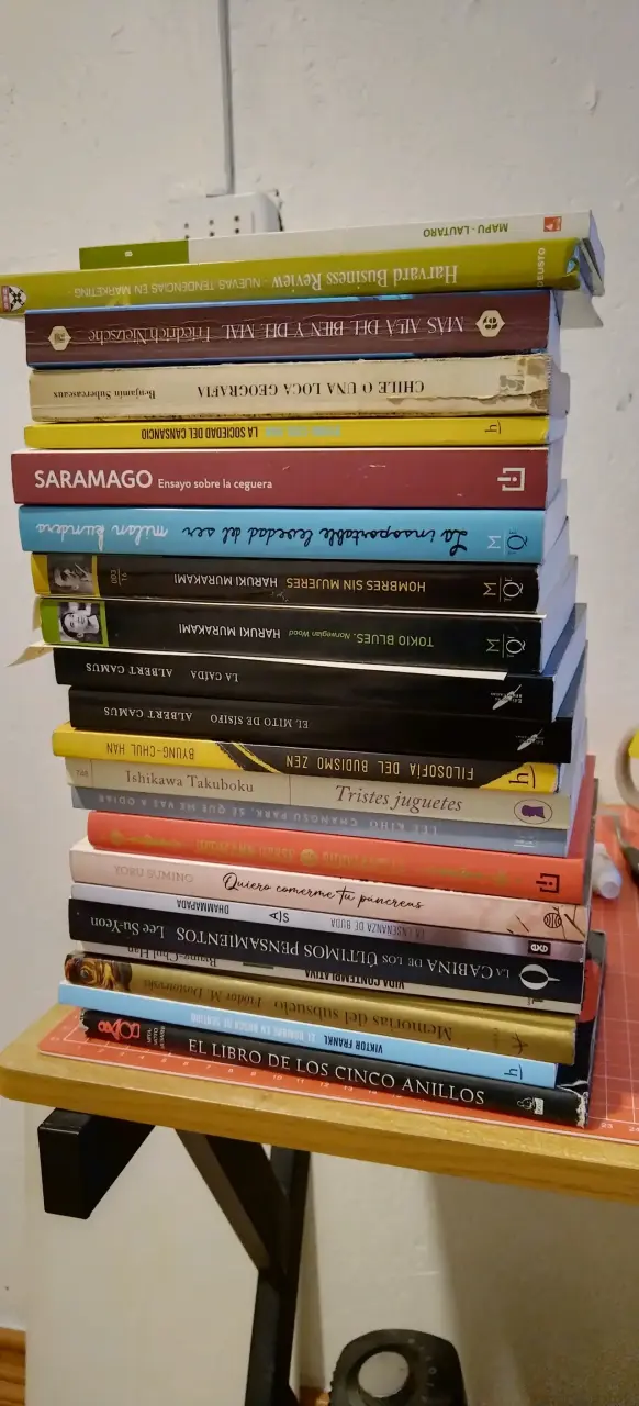 Lote de libros variados en buen estado