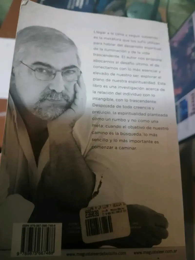 Libro 'Llegar a la Cima y Seguir Subiendo' de Jorge Bucay - 2