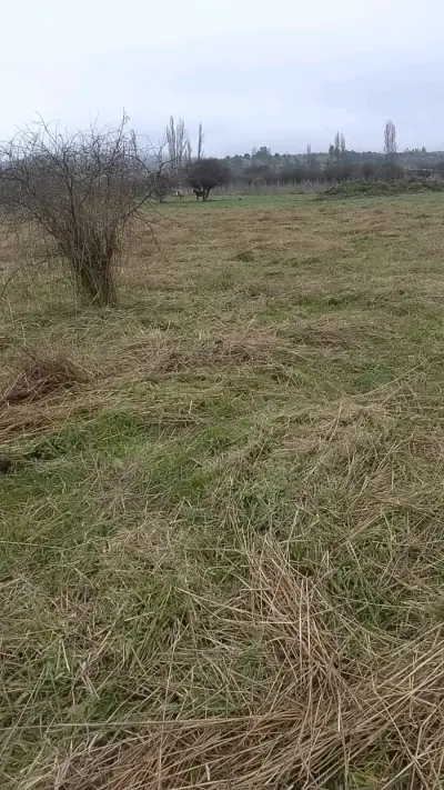 Parcela plana san javier - miniatura 5
