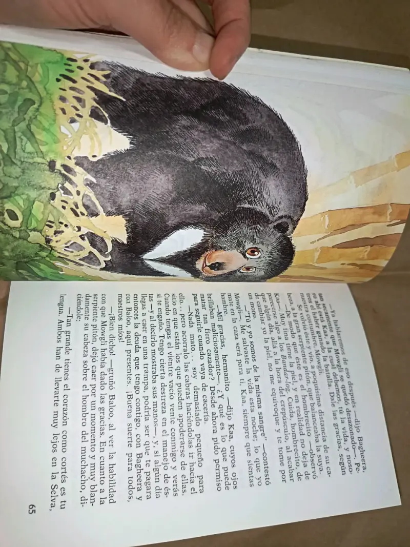 El Libro de las Tierras Vírgenes de Rudyard Kipling - 4