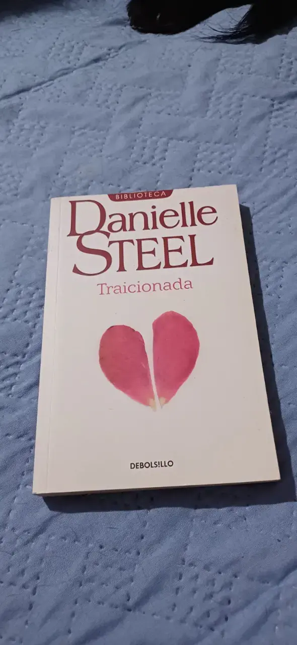 Lote de libros de romance y ficción - 3