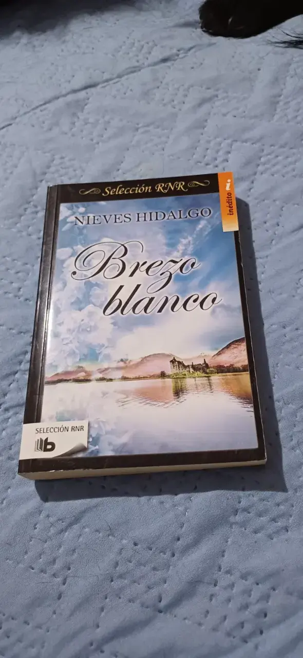 Lote de libros de romance y ficción - 4