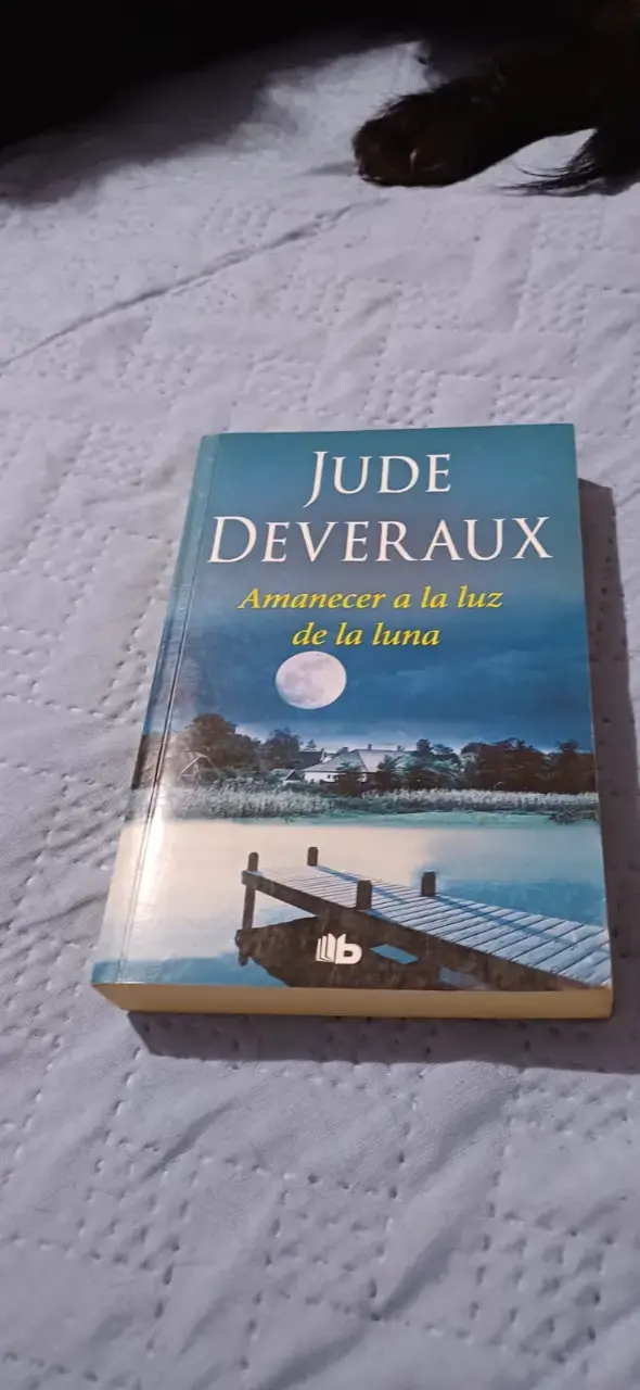 Lote de libros de romance y ficción - 5