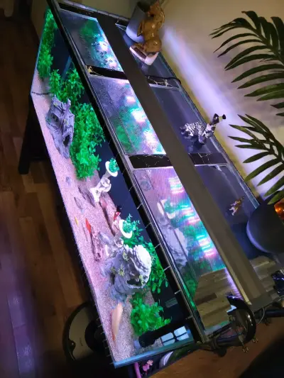 Pecera grande con decoración y plantas - miniatura 4