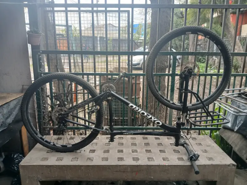 Bicicleta Oxford de montaña con portaequipajes - 2