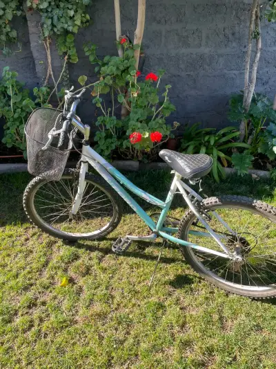 Bicicleta de montaña con canasto para mujer - miniatura 1