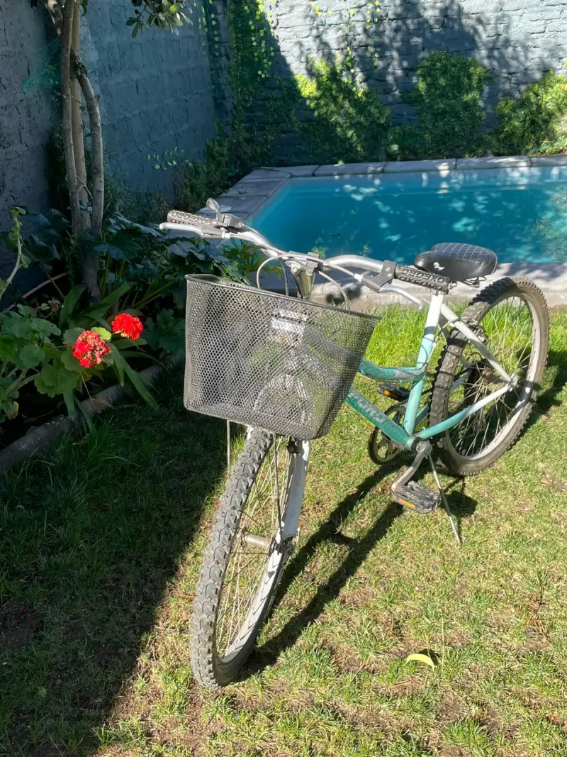 Bicicleta de montaña con canasto para mujer - 2