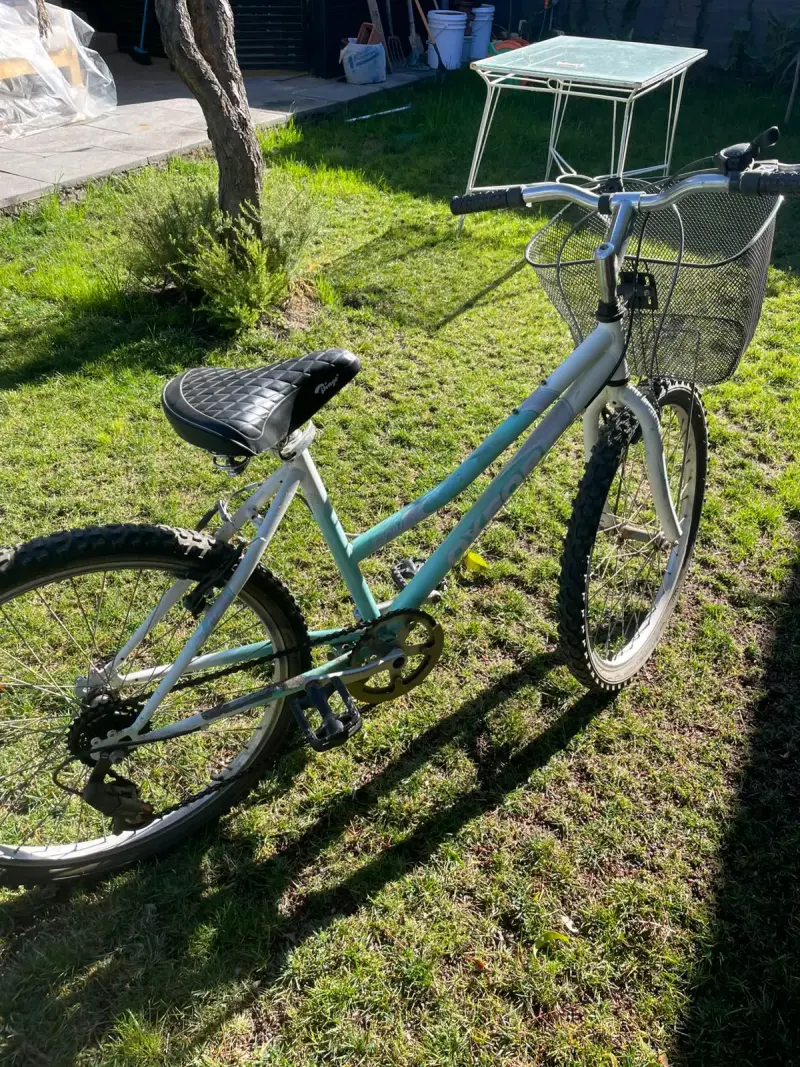 Bicicleta de montaña con canasto para mujer - 3