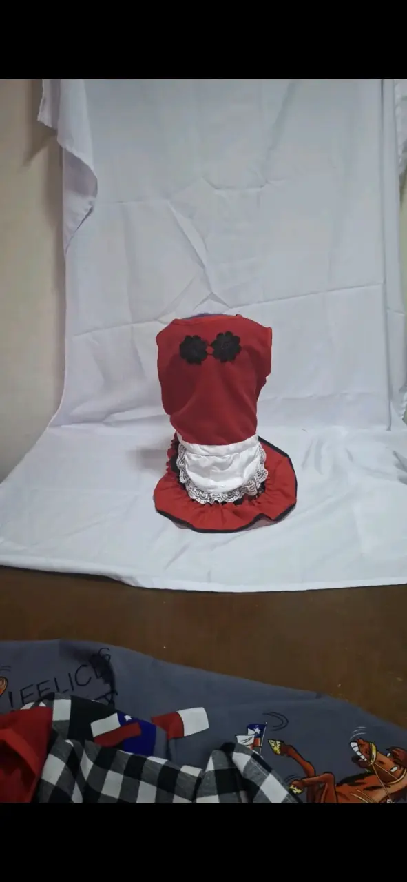 Traje de huasa chileno para tu mascota