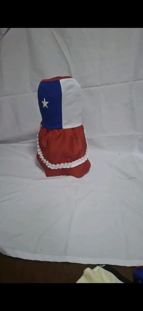 Traje para mascota de huasa bandera chilena
