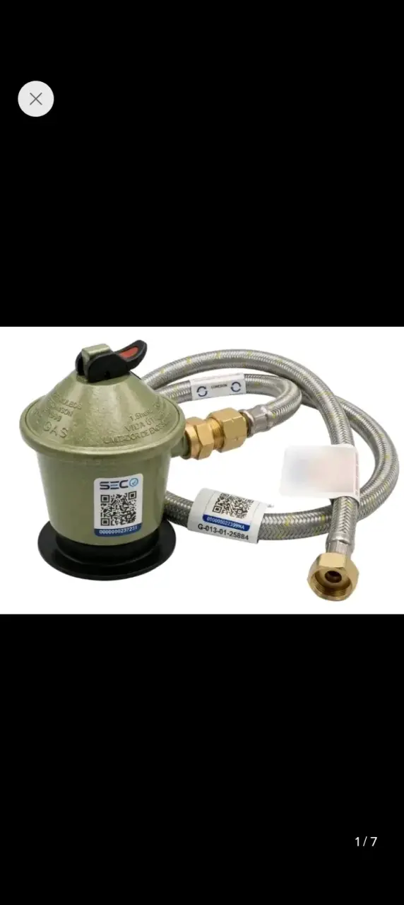 Regulador de Gas con Manguera SECO