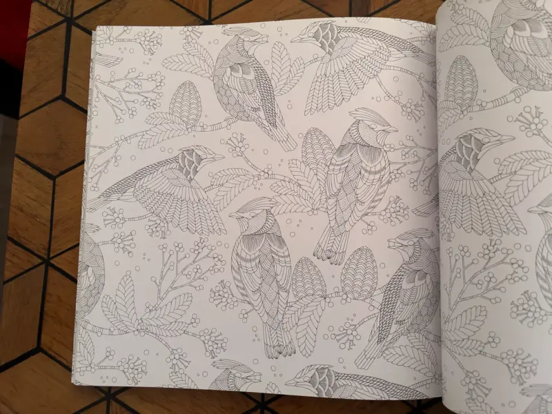 Libro para colorear 'Aves hermosas y otros tesoros' de Millie Marotta - 2