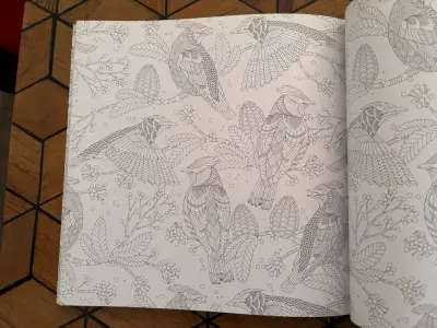 Libro para colorear 'Aves hermosas y otros tesoros' de Millie Marotta - miniatura 2