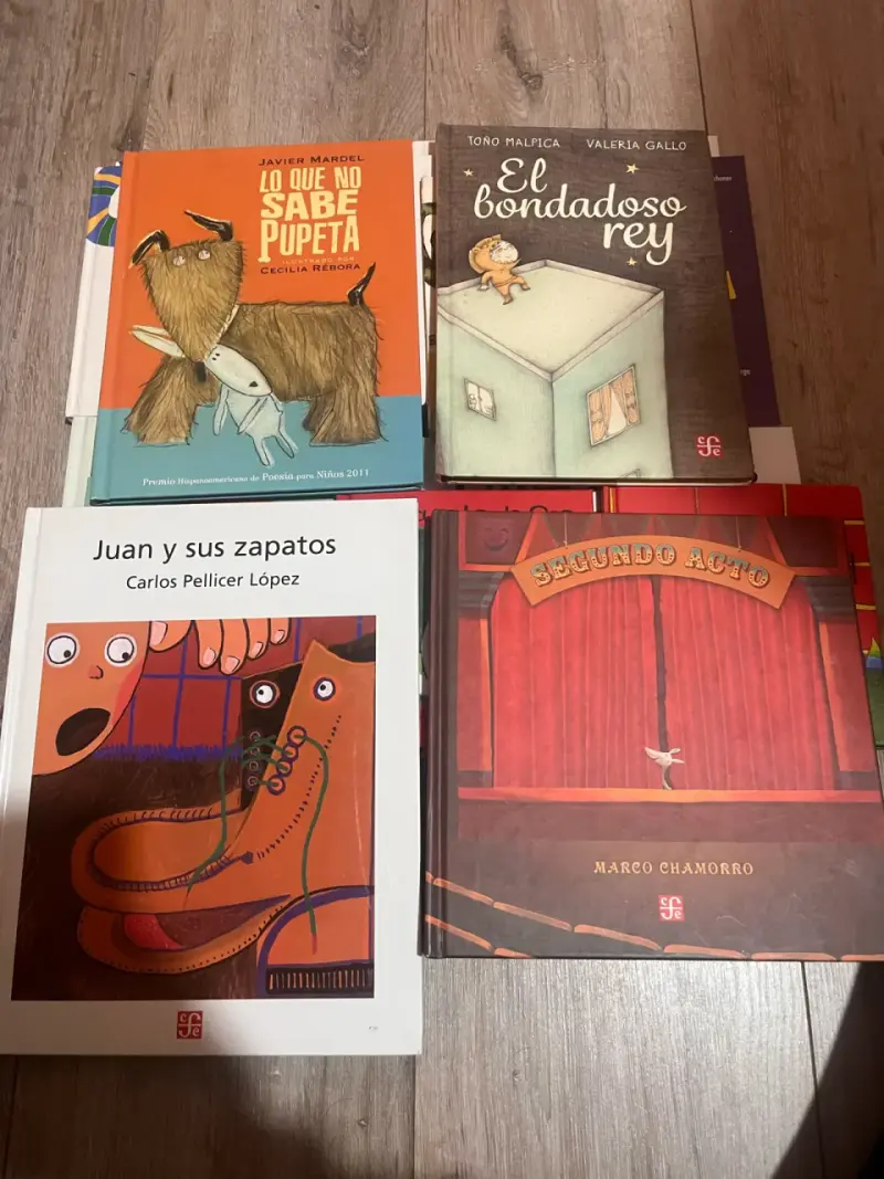 Lote de libros infantiles ilustrados variados - 1