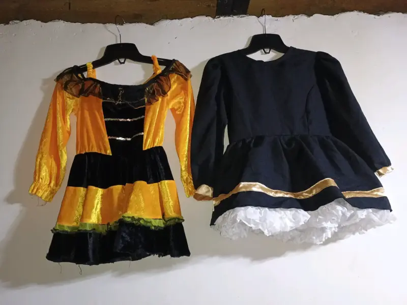 Ropa de vestir, bailes y disfraz - 1