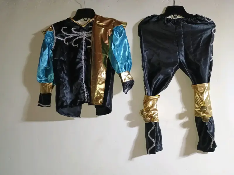 Ropa de vestir, bailes y disfraz - 2