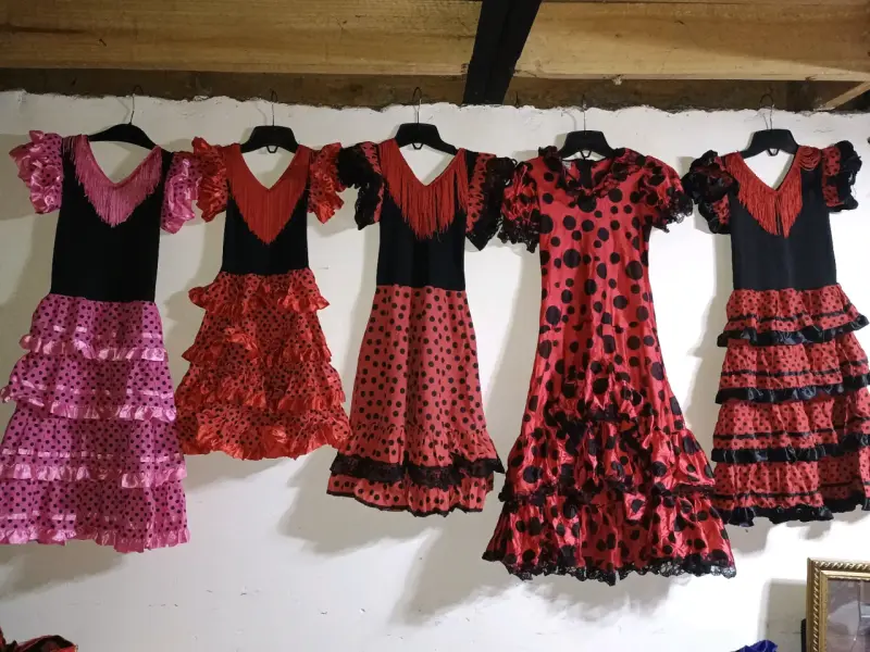 Ropa de vestir, bailes y disfraz - 4