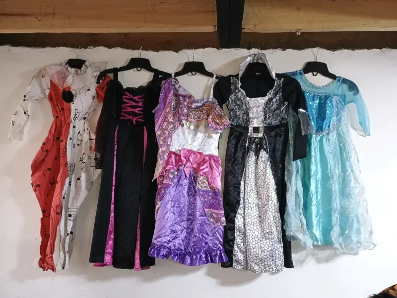 Ropa de vestir, bailes y disfraz - 5