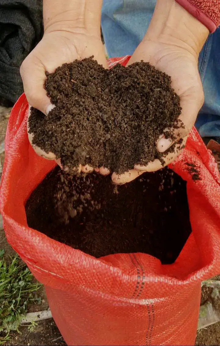 🌿 Tierra de Hojas con Compost - 1