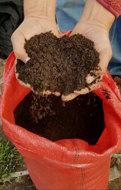 🌿 Tierra de Hojas con Compost - miniatura 1