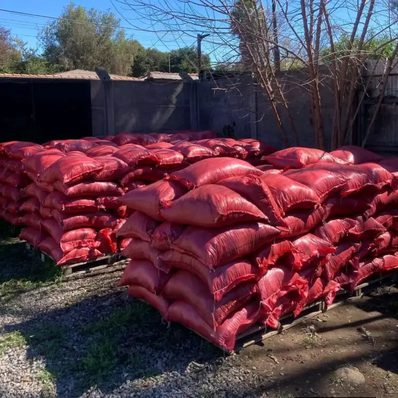 🌿 Tierra de Hojas con Compost - 2